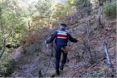 Keçiler için 502 ağacın kesildiği ormanda sıkı denetim Keçiler için 502 ağacın kesildiği ormanda sıkı denetim