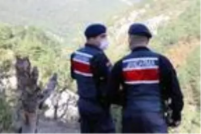 Keçiler için 502 ağacın kesildiği ormanda sıkı denetim Keçiler için 502 ağacın kesildiği ormanda sıkı denetim