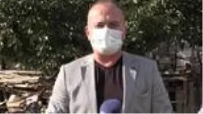 Koyunları kurt saldırısında telef olan aile yeni koyunları ile mutlu Koyunları kurt saldırısında telef olan aile yeni koyunları ile mutlu