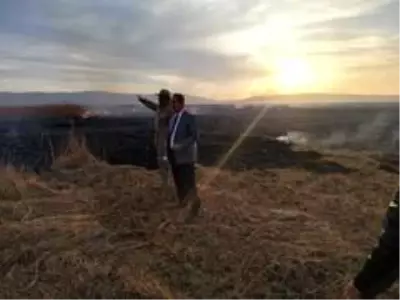 Kuş cenneti Cil Gölü'nde 10 dekarlık alan küle döndü Kuş cenneti Cil Gölü'nde 10 dekarlık alan küle döndü