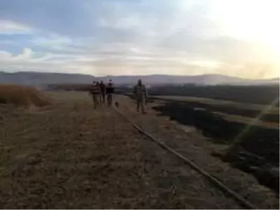 Kuş cenneti Cil Gölü'nde 10 dekarlık alan küle döndü Kuş cenneti Cil Gölü'nde 10 dekarlık alan küle döndü