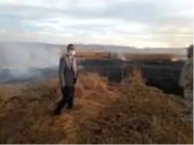 Kuş cenneti Cil Gölü'nde 10 dekarlık alan küle döndü Kuş cenneti Cil Gölü'nde 10 dekarlık alan küle döndü
