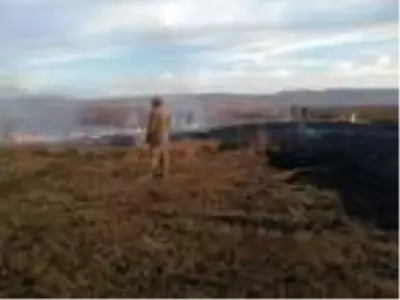 Kuş cenneti Cil Gölü'nde 10 dekarlık alan küle döndü Kuş cenneti Cil Gölü'nde 10 dekarlık alan küle döndü