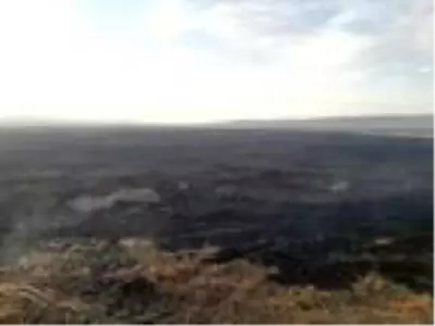 Kuş cenneti Cil Gölü'nde 10 dekarlık alan küle döndü Kuş cenneti Cil Gölü'nde 10 dekarlık alan küle döndü
