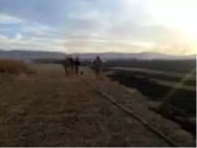 Kuş cenneti Cil Gölü'nde 10 dekarlık alan küle döndü Kuş cenneti Cil Gölü'nde 10 dekarlık alan küle döndü