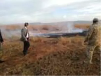 Kuş cenneti Cil Gölü'nde 10 dekarlık alan küle döndü Kuş cenneti Cil Gölü'nde 10 dekarlık alan küle döndü