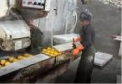 Muğla'da turizmden sonra en önemli sektör mermer Muğla'da turizmden sonra en önemli sektör mermer