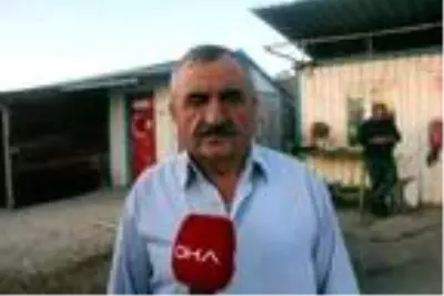 Müzik duyunca oynamadan duramıyor, trafik cezası kesilirken bile göbek atıyor Müzik duyunca oynamadan duramıyor, trafik cezası kesilirken bile göbek atıyor