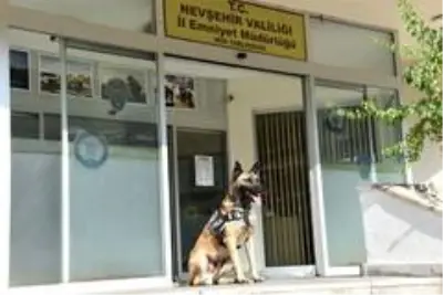 Nevşehir'de uyuşturucu taciri 1 kişi tutuklandı Nevşehir'de uyuşturucu taciri 1 kişi tutuklandı