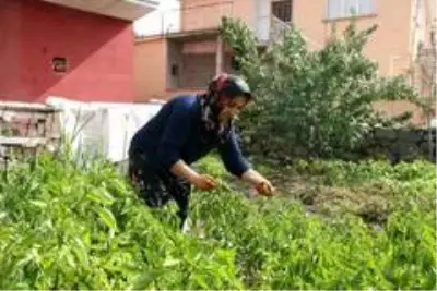 O tam bir sabır ve vefa örneği O tam bir sabır ve vefa örneği