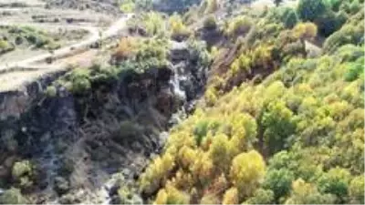 Rengarenk görüntüsüyle adeta büyülüyor Rengarenk görüntüsüyle adeta büyülüyor