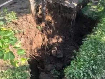 Son dakika haberleri | Sel suları fay hattında derin kırıklar oluşturdu Son dakika haberleri | Sel suları fay hattında derin kırıklar oluşturdu
