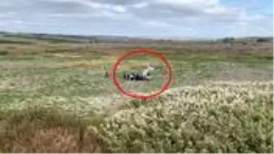 Son Dakika! Büyükçekmece'de eğitim uçağı düştü, ilk müdahale çevredeki vatandaşlardan geldi Son Dakika! Büyükçekmece'de eğitim uçağı düştü, ilk müdahale çevredeki vatandaşlardan geldi