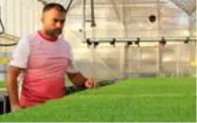 Su tesisatçılığını bırakıp fide üreticisi oldu! Şimdi Türkiye'nin dört bir yanına fide satıyor