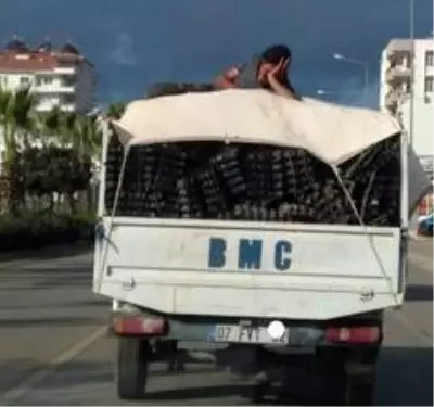 Tente üzerinde tehlikeli yolculuk Tente üzerinde tehlikeli yolculuk