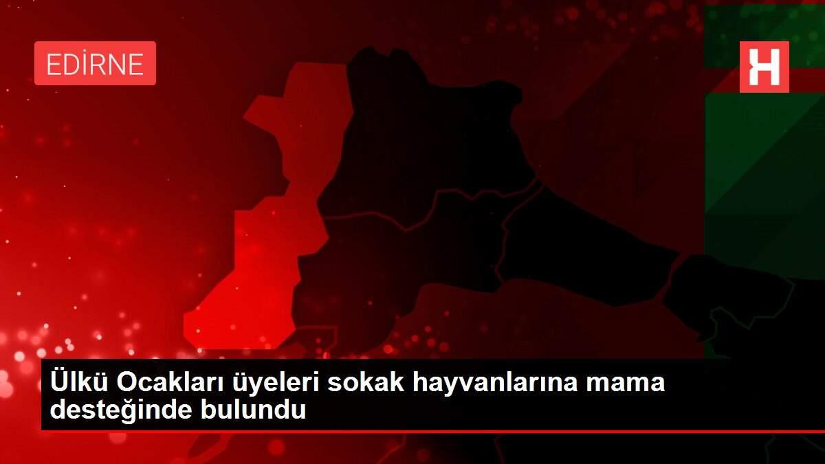 Ülkü Ocakları üyeleri sokak hayvanlarına mama desteğinde bulundu Ülkü Ocakları üyeleri sokak hayvanlarına mama desteğinde bulundu