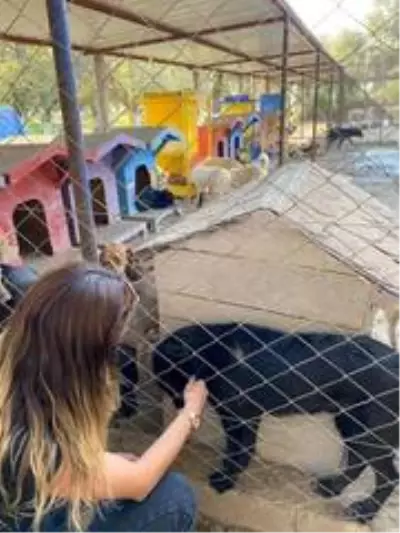Uzlaşmaya gittiler, cezadan kurtuldular Uzlaşmaya gittiler, cezadan kurtuldular