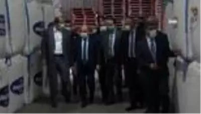 Vali Dağlı, Bafra'da incelemelerde bulundu Vali Dağlı, Bafra'da incelemelerde bulundu