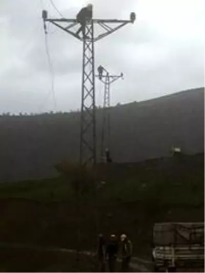 VEDAŞ'tan Bitlis'e 100 milyon TL'lik yatırım VEDAŞ'tan Bitlis'e 100 milyon TL'lik yatırım