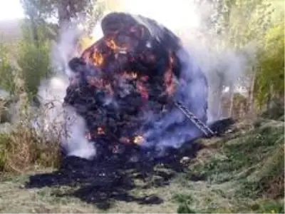 Yüksekova'da 6 bin 500 bağ ot yandı Yüksekova'da 6 bin 500 bağ ot yandı