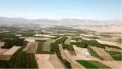 12 ovada 'koruma alanı' sevinci 12 ovada 'koruma alanı' sevinci