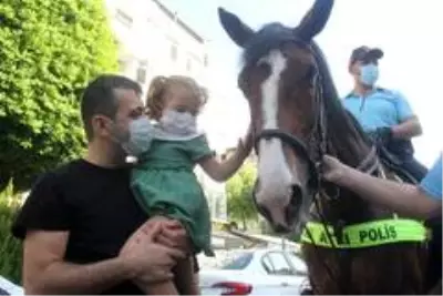 Son dakika haberleri: Adana'da atlı birlikler Türk Bayrağı'na selam vererek göreve başladı Son dakika haberleri: Adana'da atlı birlikler Türk Bayrağı'na selam vererek göreve başladı