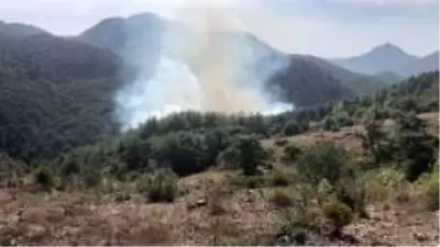 Adana'da orman yangını Adana'da orman yangını