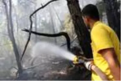 Son dakika haber: Adana'da orman yangını Son dakika haber: Adana'da orman yangını