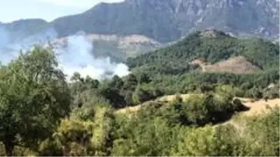 Adana'da orman yangını Adana'da orman yangını