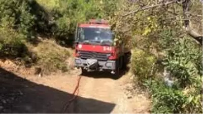 Adana'da orman yangını Adana'da orman yangını