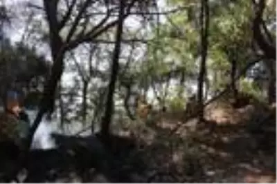 Son dakika haber: Adana'da orman yangını Son dakika haber: Adana'da orman yangını