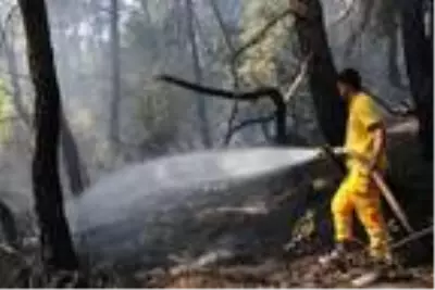 Son dakika haber: Adana'da orman yangını Son dakika haber: Adana'da orman yangını