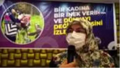 Atakum Belediyesi'nin kırsalını kalkındıracak Jersey projesinde sona gelindi Atakum Belediyesi'nin kırsalını kalkındıracak Jersey projesinde sona gelindi