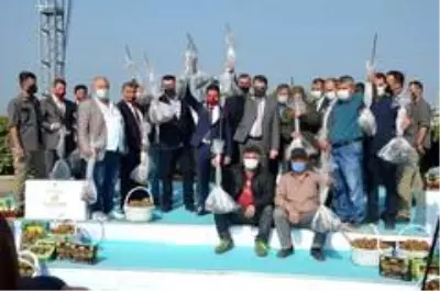 Son dakika haberleri: Bakan Pakdemirli: 'Kivi üretimi 74 bin tona ulaştı' Son dakika haberleri: Bakan Pakdemirli: 'Kivi üretimi 74 bin tona ulaştı'
