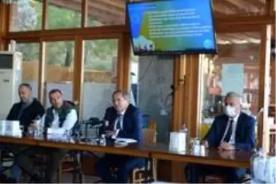 Belediye Başkanı Ergin, 'Ayvalık cazibe merkezi oldu' Belediye Başkanı Ergin, 'Ayvalık cazibe merkezi oldu'
