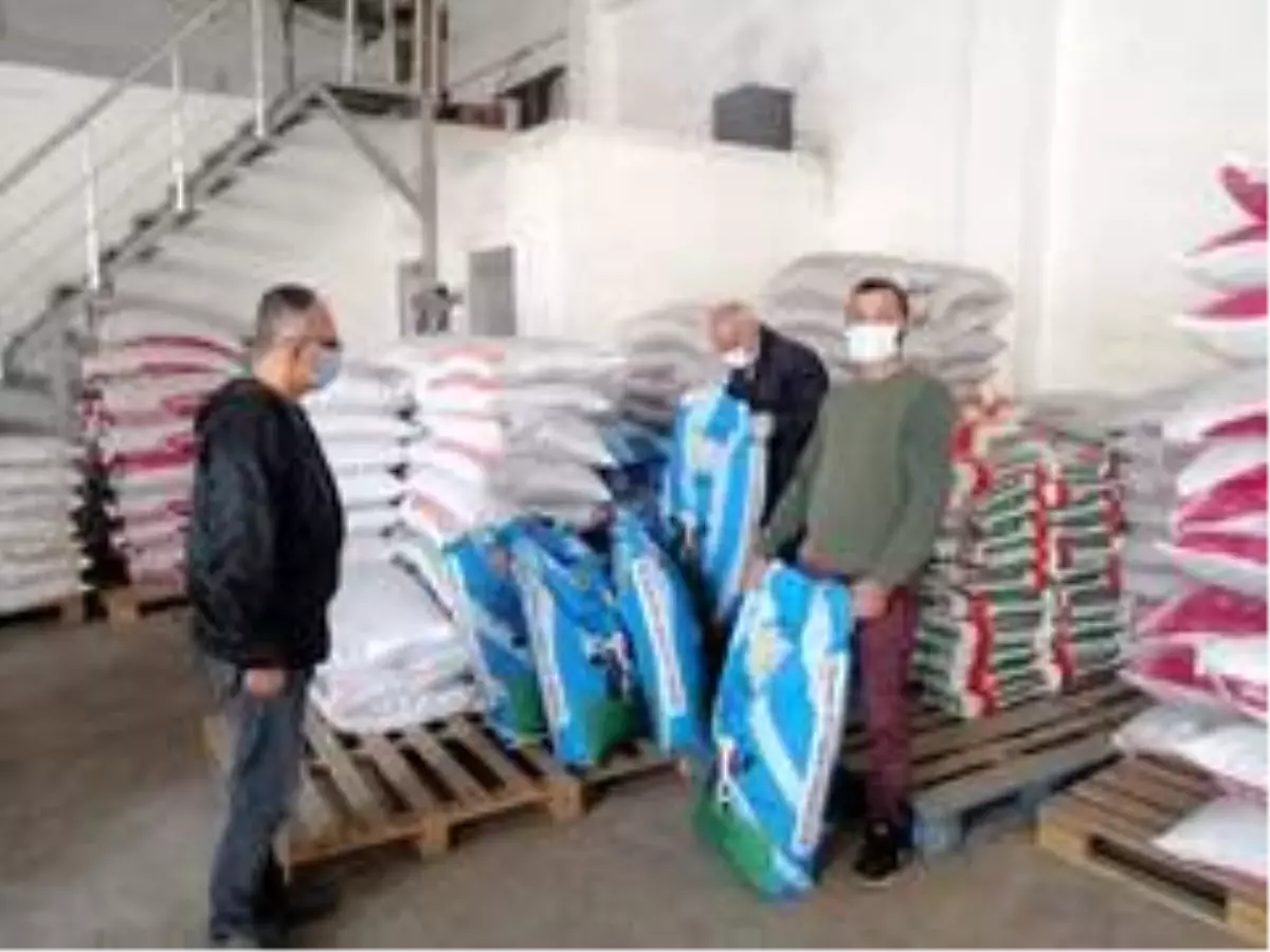 Çiftçilere yem bitkisi tohumu dağıldı