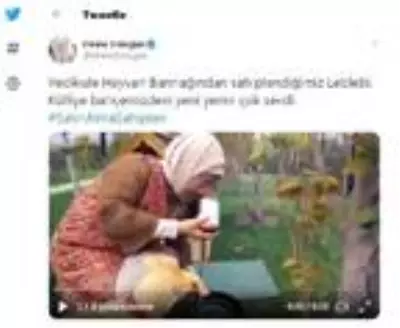 Son dakika... Emine Erdoğan'ın sahiplendiği 'Leblebi', Külliye bahçesinde Son dakika... Emine Erdoğan'ın sahiplendiği 'Leblebi', Külliye bahçesinde