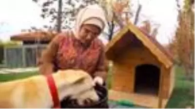 Son dakika... Emine Erdoğan'ın sahiplendiği 'Leblebi', Külliye bahçesinde Son dakika... Emine Erdoğan'ın sahiplendiği 'Leblebi', Külliye bahçesinde