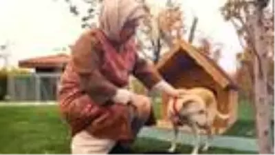 Son dakika... Emine Erdoğan'ın sahiplendiği 'Leblebi', Külliye bahçesinde Son dakika... Emine Erdoğan'ın sahiplendiği 'Leblebi', Külliye bahçesinde
