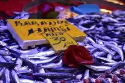 Son dakika haber | Eskişehir'de hamsi fiyatı 50 liraya kadar yükseldi Son dakika haber | Eskişehir'de hamsi fiyatı 50 liraya kadar yükseldi