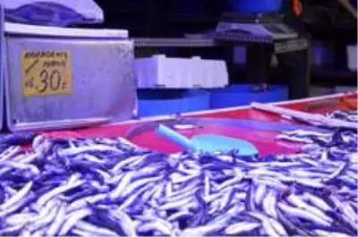 Son dakika haber | Eskişehir'de hamsi fiyatı 50 liraya kadar yükseldi Son dakika haber | Eskişehir'de hamsi fiyatı 50 liraya kadar yükseldi