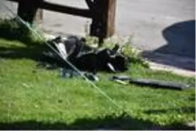 Fünyeyle patlatılan sahipsiz çantadan, bilgisayar çıktı Fünyeyle patlatılan sahipsiz çantadan, bilgisayar çıktı