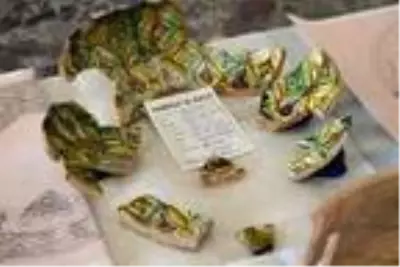 Harput Kalesi kazılarında 7 yılda 110 bin adet obje çıktı Harput Kalesi kazılarında 7 yılda 110 bin adet obje çıktı