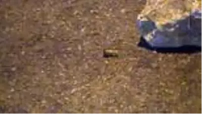 İzmir'de silahlı kavga: 1 ölü, 1 yaralı İzmir'de silahlı kavga: 1 ölü, 1 yaralı