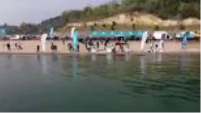 İzmit Körfezi'ne balıklandırma çalışmaları kapsamında çipura, levrek ve kalkan bırakıldı İzmit Körfezi'ne balıklandırma çalışmaları kapsamında çipura, levrek ve kalkan bırakıldı