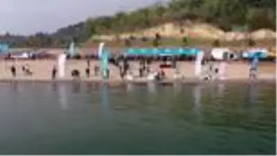 İzmit Körfezi'ne balıklandırma çalışmaları kapsamında çipura, levrek ve kalkan bırakıldı İzmit Körfezi'ne balıklandırma çalışmaları kapsamında çipura, levrek ve kalkan bırakıldı