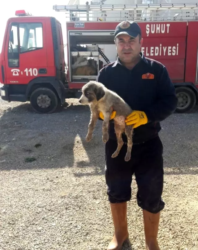 Kanalizasyon borusuna sıkışan yavru köpeği itfaiye ekipleri kurtardı