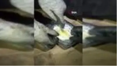 Kayseri'de uyuşturucu taciri 2 kilo esrar ile yakalandı Kayseri'de uyuşturucu taciri 2 kilo esrar ile yakalandı