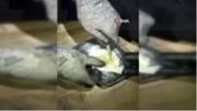 Kayseri'de uyuşturucu taciri 2 kilo esrar ile yakalandı Kayseri'de uyuşturucu taciri 2 kilo esrar ile yakalandı