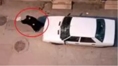 Kocasını başka bir kadının evinde yakalayan eş, mahalleyi ayağa kaldırdı Kocasını başka bir kadının evinde yakalayan eş, mahalleyi ayağa kaldırdı